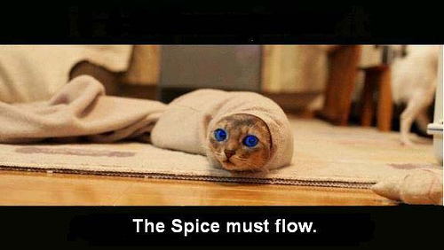 spice_must_flow