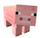 pig