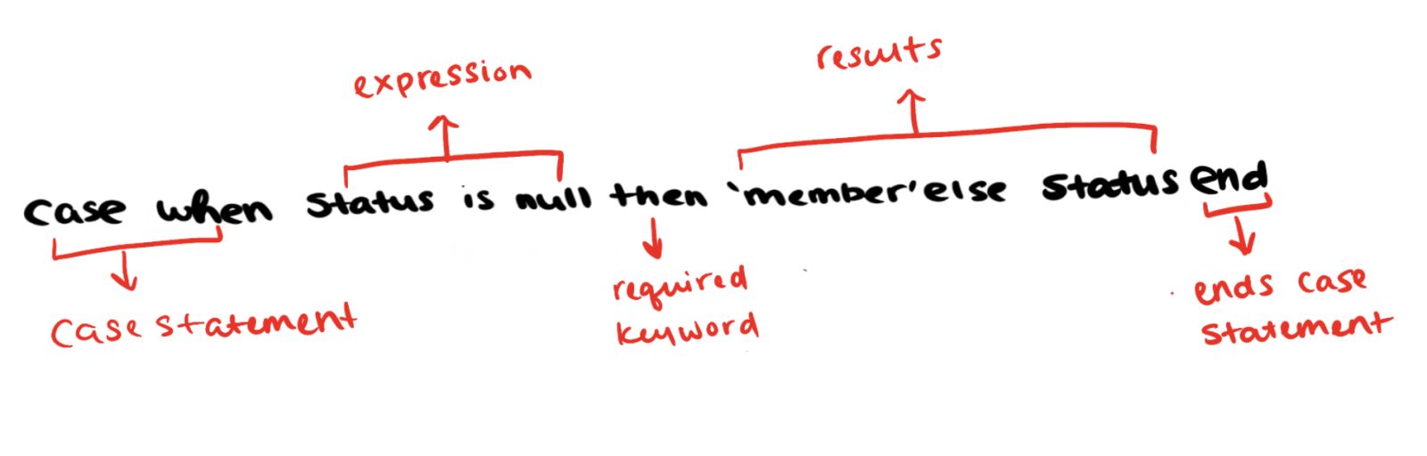 Image of case statement anatomy