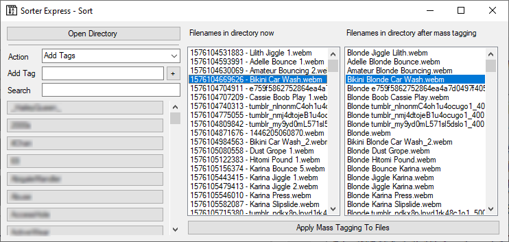 Mass Tagging Window