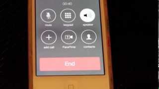 CAN I HABE PIZZA PLS