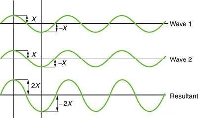 shows two identical waves that arrive at the same point exactly in phase. The crests of the two waves are precisely aligned, as are the troughs. This superposition produces pure constructive interference. Because the disturbances add, pure constructive interference produces a wave that has twice the amplitude of the individual waves, but has the same wavelength.