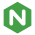 Nginx Icon