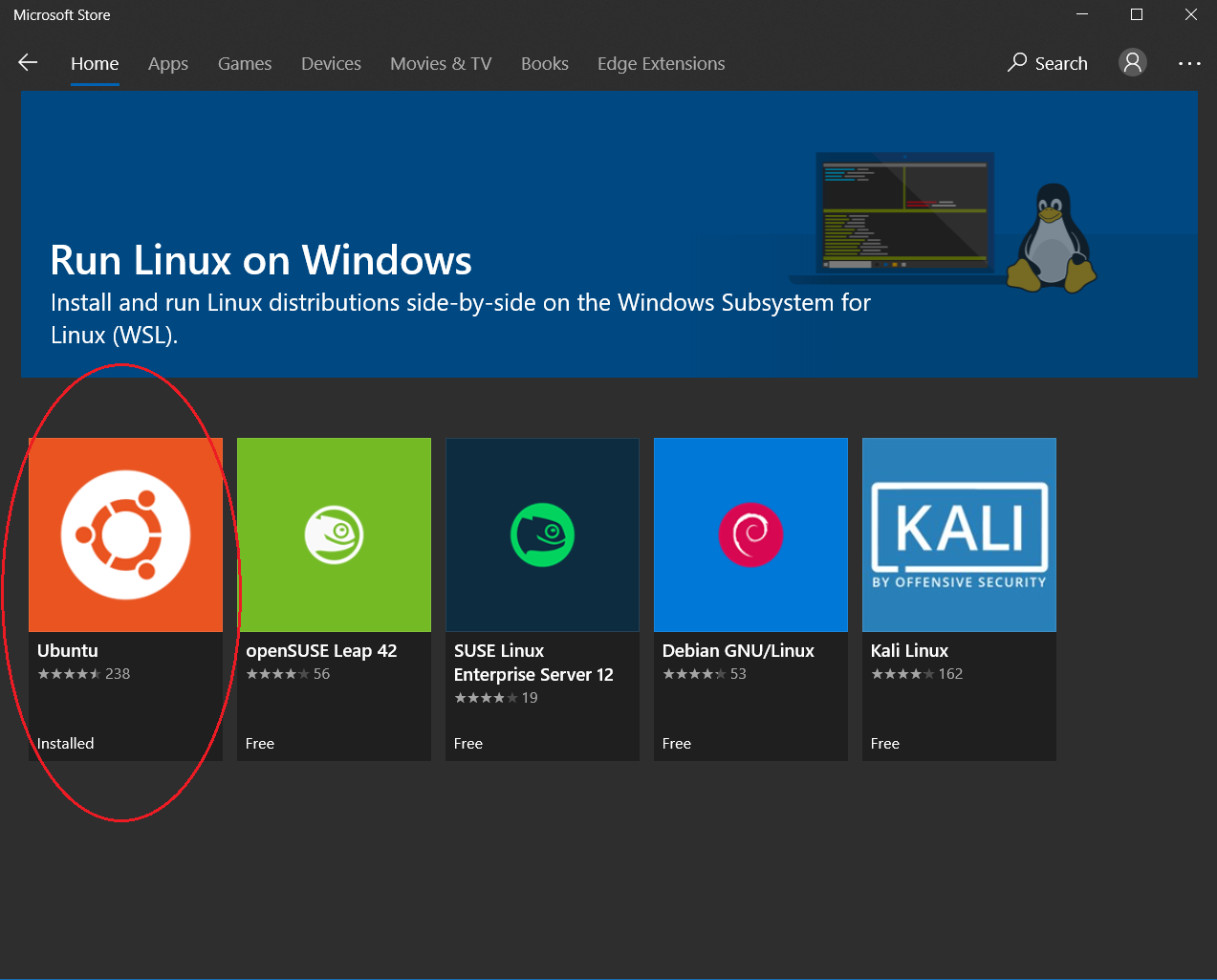 ubuntu choice in microsoft store