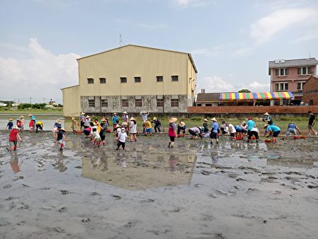 社头乡农会农会举办食农教育 让学童体验退后是前进的涵意。