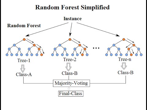 Random Forest Regression là gì? Giới thiệu và Ứng dụng Chi tiết