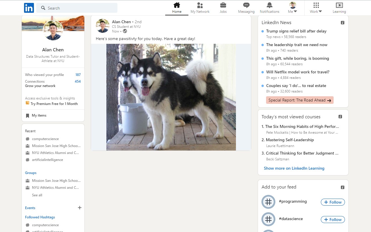 Super cute dog LinkedIn feed