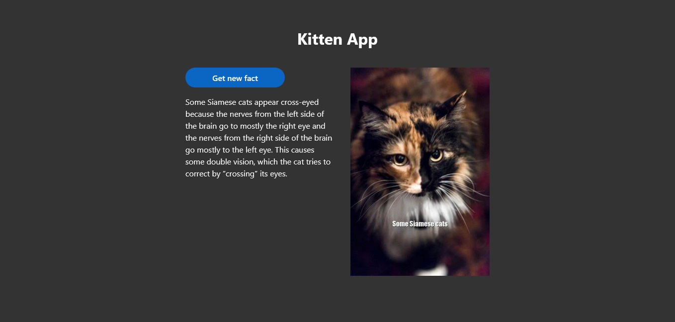 Technical Test - Cats Api