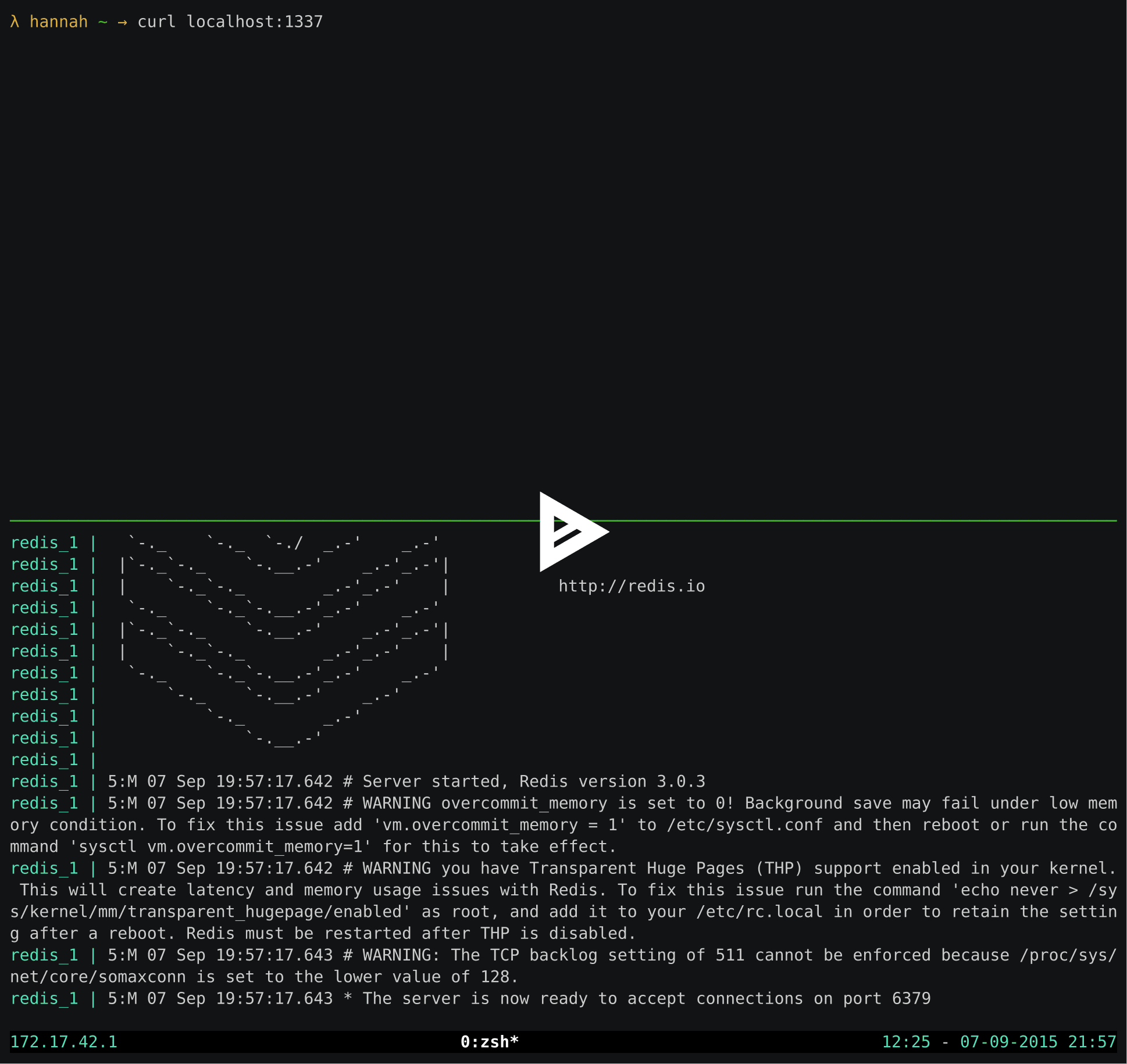 asciicast