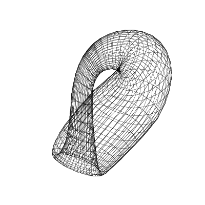 Klein Bottle