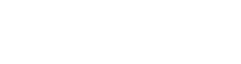 BraveWords logo