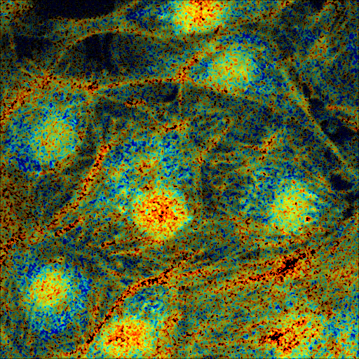 https://media.scijava.org/scijava-ops/1.0.0/flim_example_pseudocolored.png