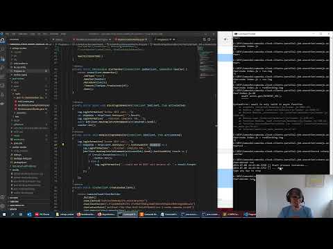 Walkthrough