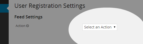 Feed Settings - Select Action