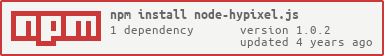 NPM Install Info