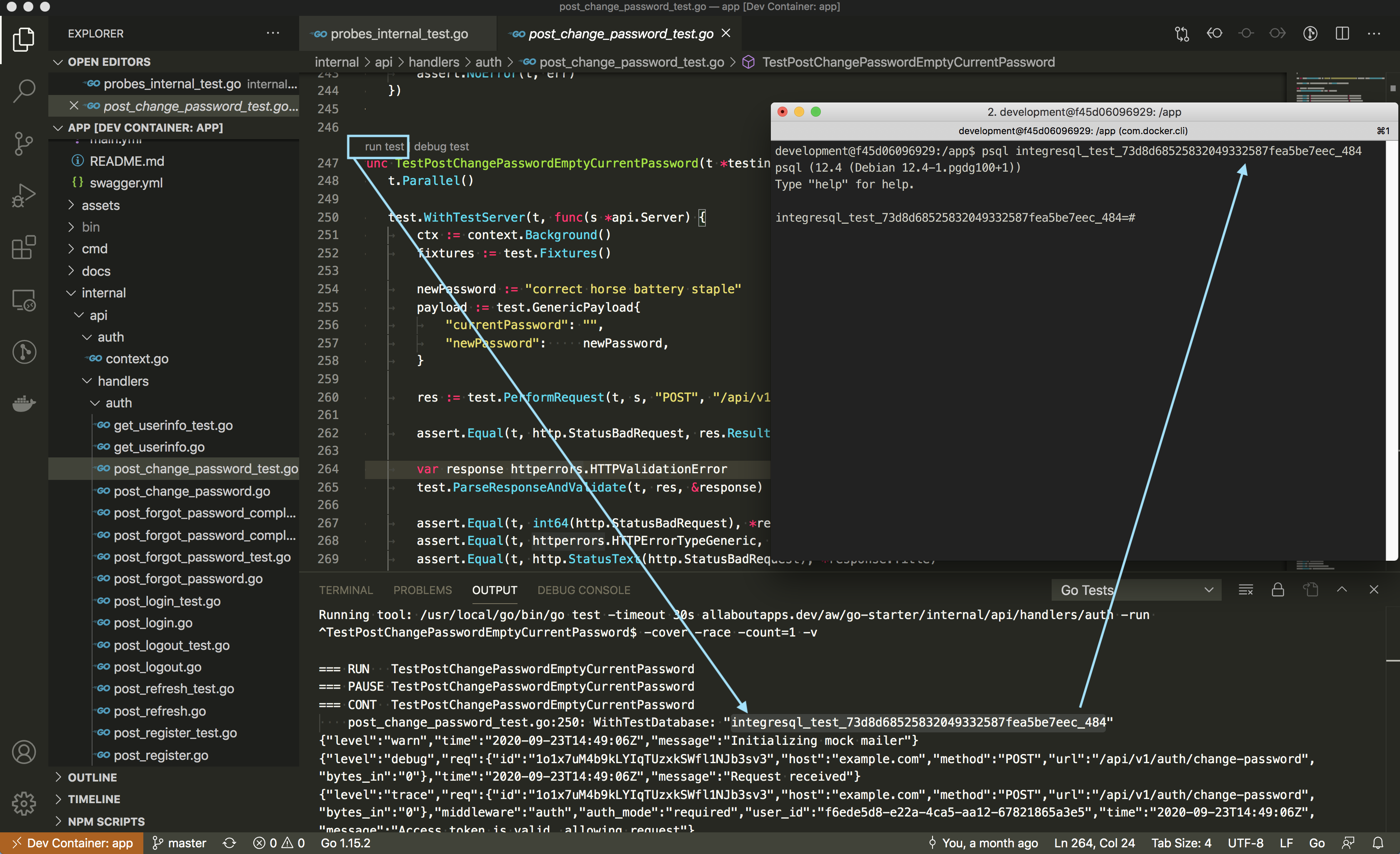 debug integresql database after test