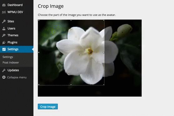 Grab the perfect image with crop and trim