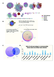 Overview on the taxon network and its environmentally influenced edges