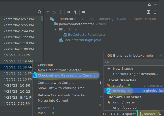 Image detailing how to checkout our development branch.