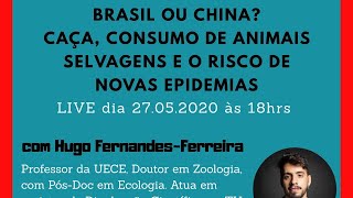 Caça, consumo de animais selvagens e risco de novas epidemias. China ou Brasil?