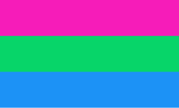 Polysexuality Pride Flag