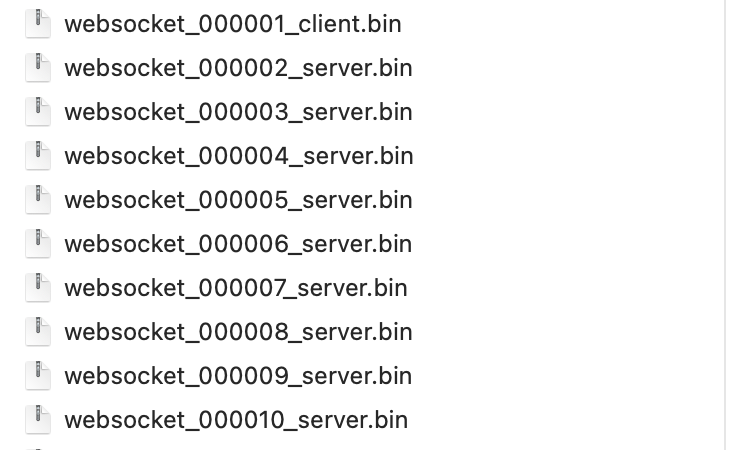 websocket-bin