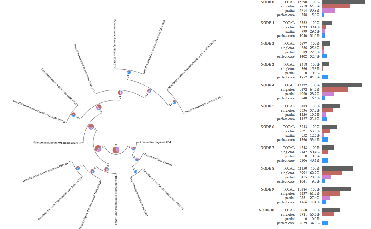 Pangenome Phylogenetic Accumulation