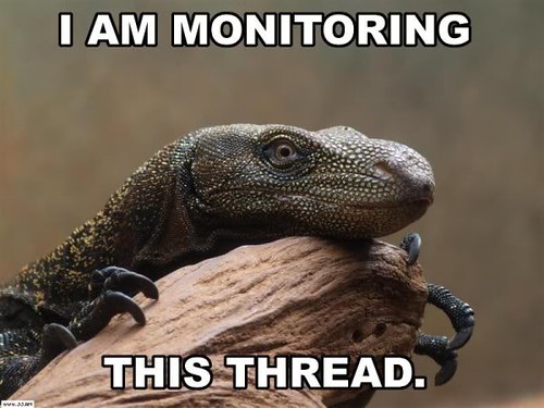 monitoring-thread