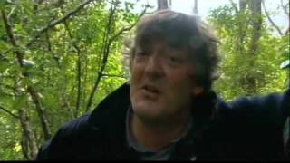 Stephen Fry Watches Rare Bird Hump Zoologist
