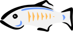 glassfish