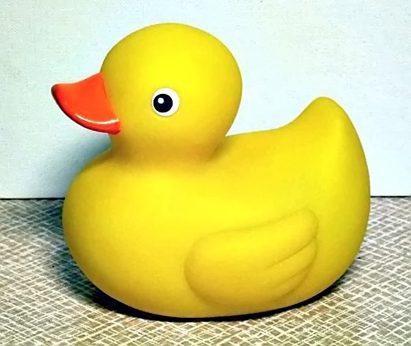 rubber duck