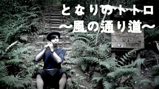 となりのトトロ〜風の通り道〜   Ghibli Song Cover