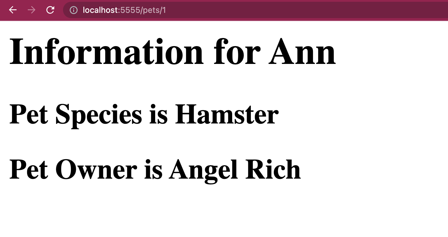 h1 text Information for Ann. Line items for species (Hamster) and owner name (Angel Rich).