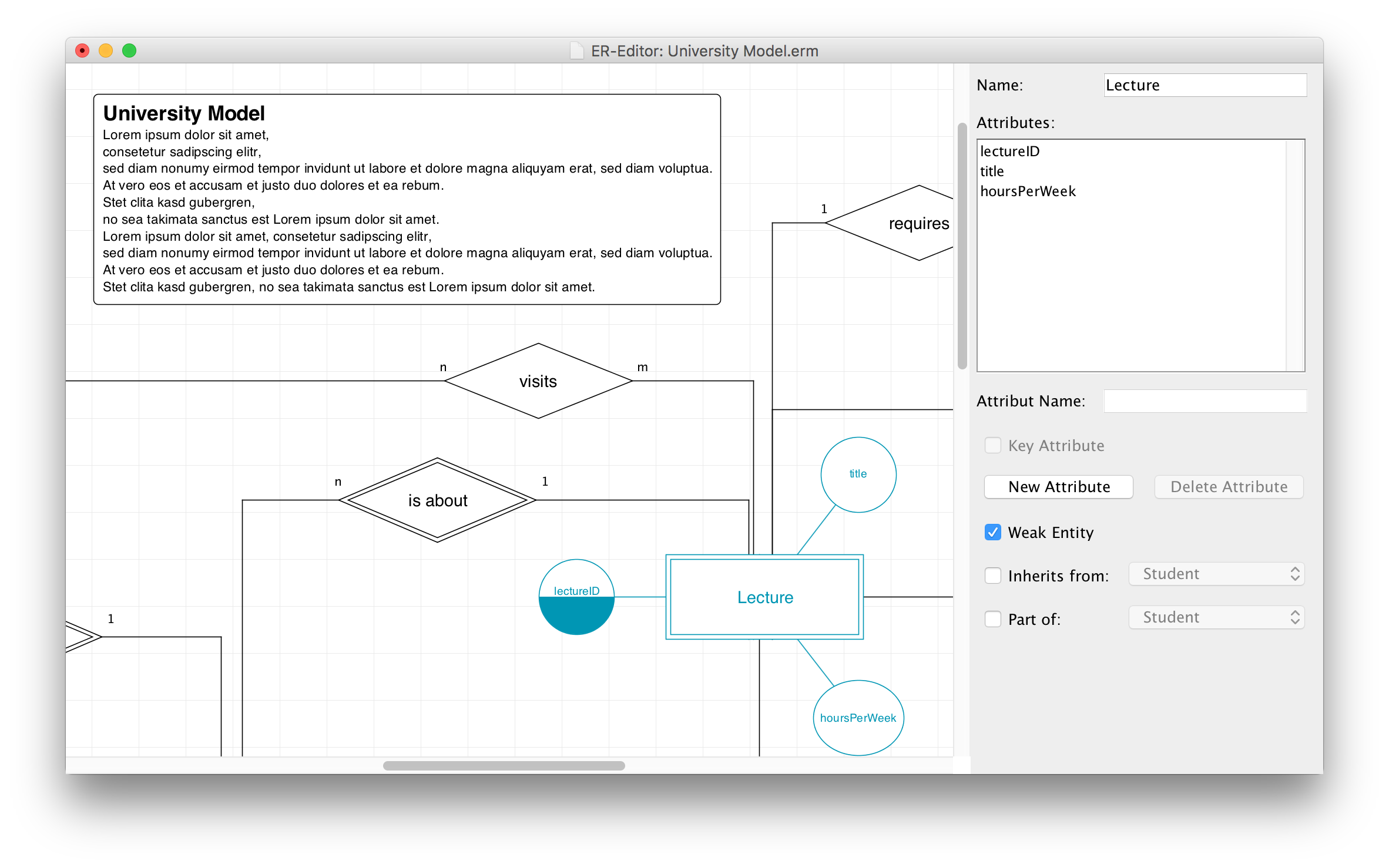 ER-Editor-Example