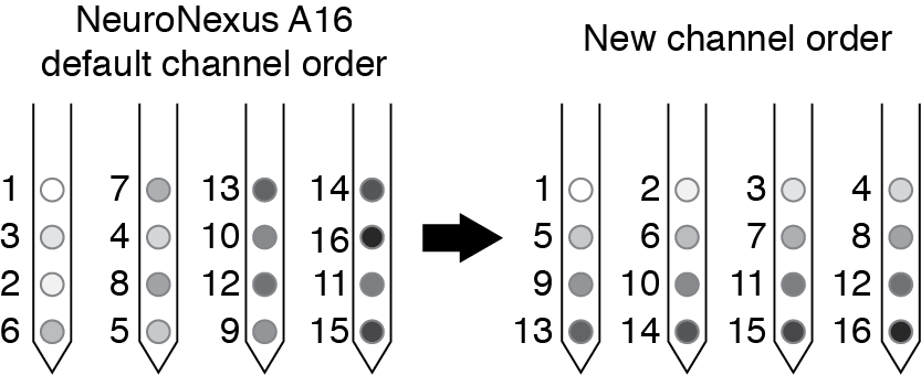 Example channel reordering for NeuroNexus A4x4 probe