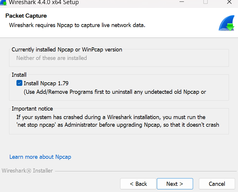 Npcap Option in the installation wizard.