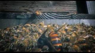 30 Japanese Giant Hornets kill 30,000 Honey Bees