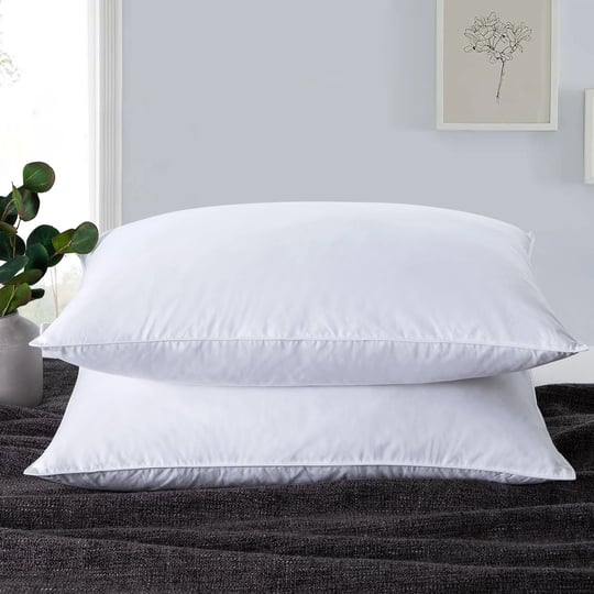 puredown-feather-standard-bed-pillow-set-of-2-white-1