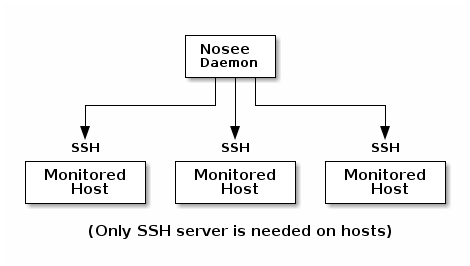 Nosee basic schema