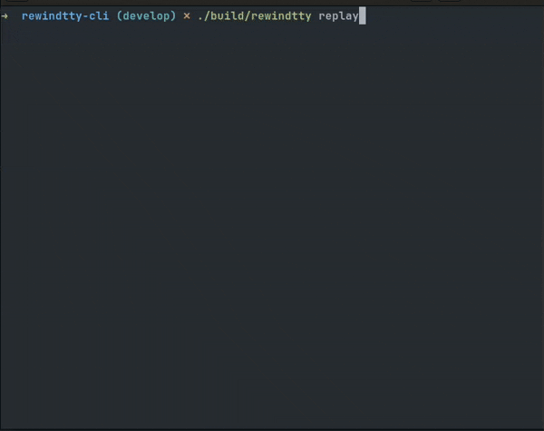 rewindtty demo