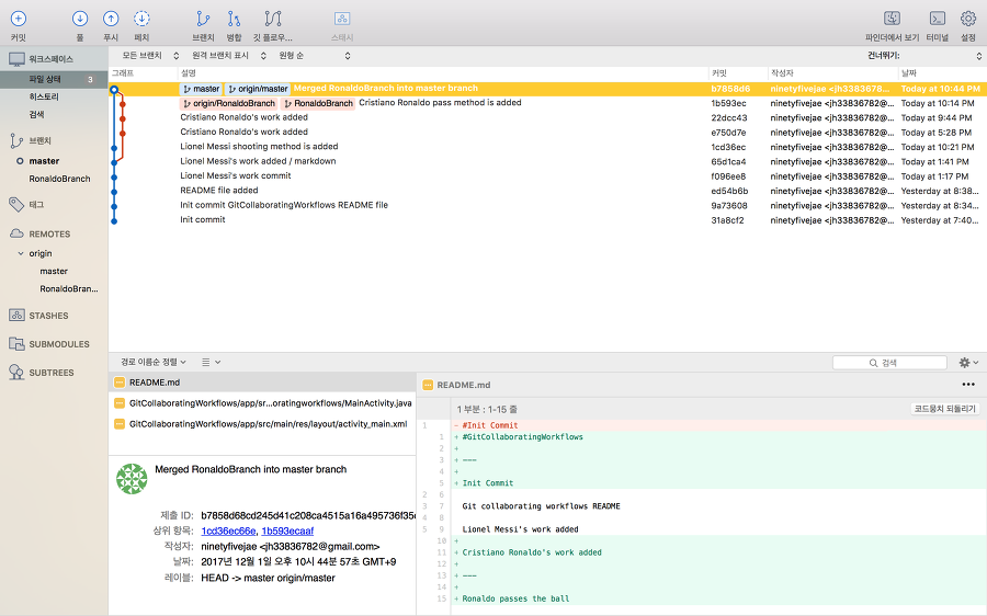 FeatureBranchWorkflowSourceTree