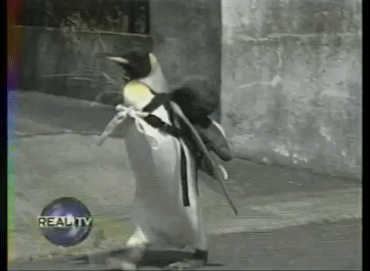 lala the penguin