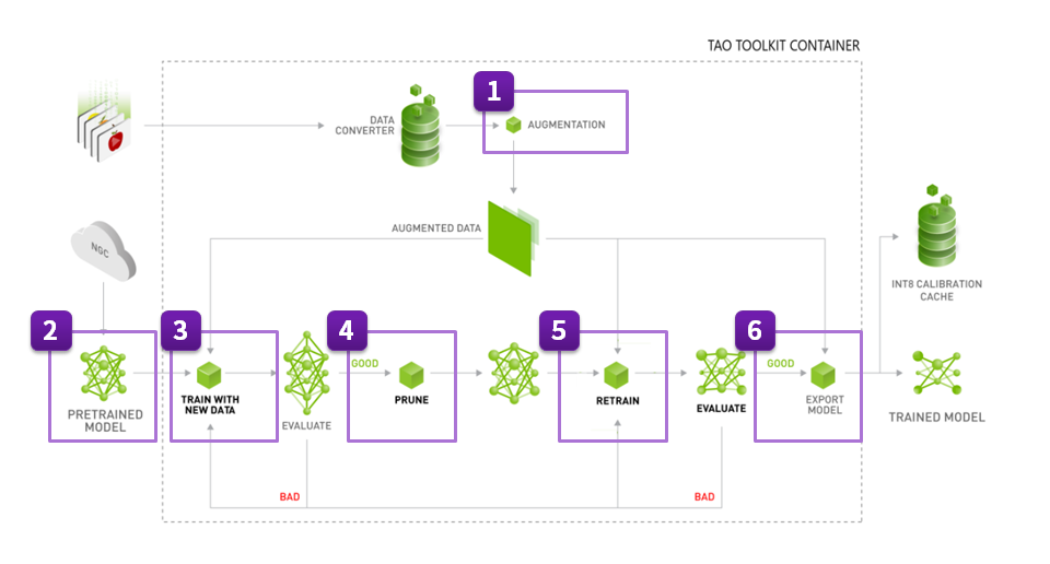 TAO Toolkit Container