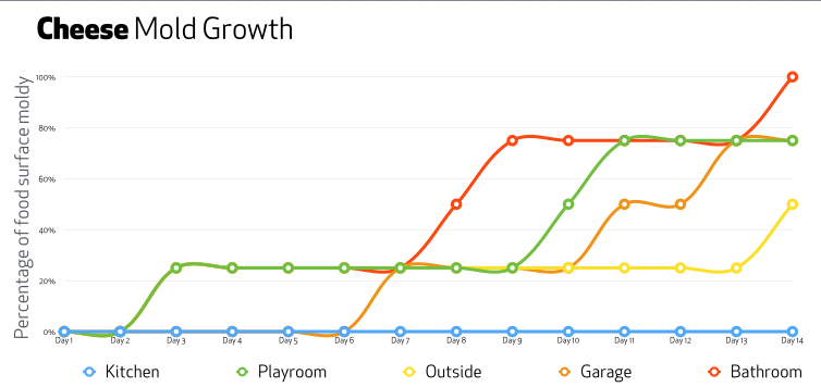 Cheese Mold Growth
