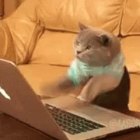 gif shows a cat typing in the computer
