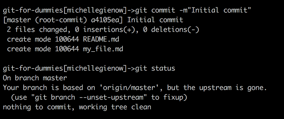 git commit