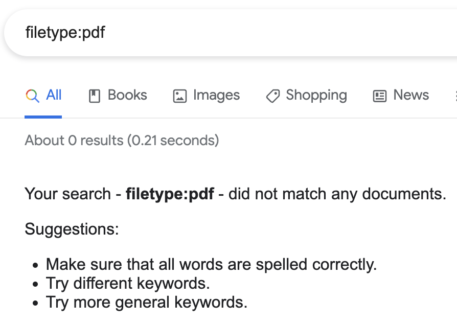 filetype.pdf - Google Search - "Your search - filetype.pdf - did not match any results."