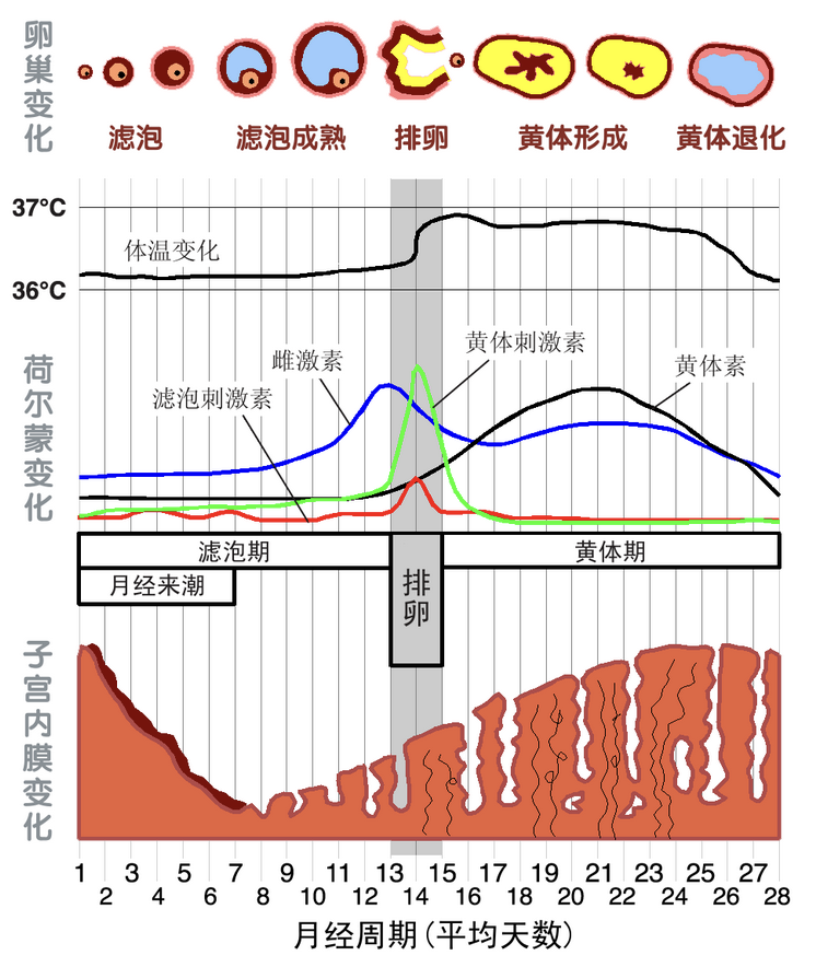 图片描述