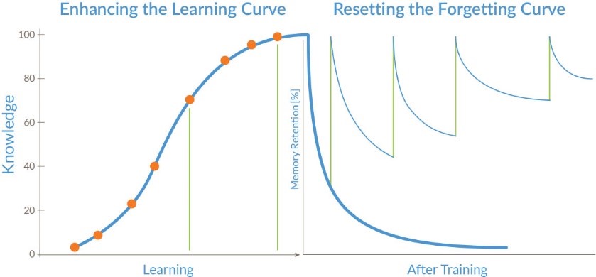 forgetting curve