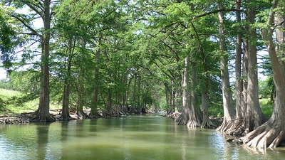 Kayaking the Guadalupe River